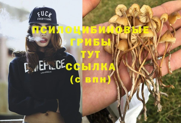 гашишное масло Абинск