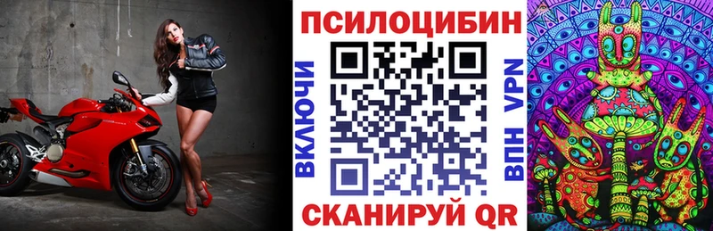закладка  Оренбург  Псилоцибиновые грибы GOLDEN TEACHER 