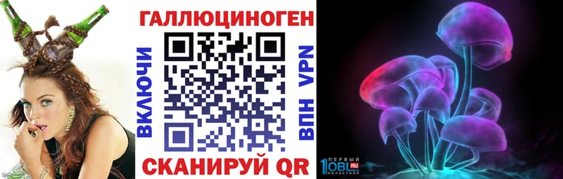 Псилоцибиновые грибы Psilocybe Оренбург