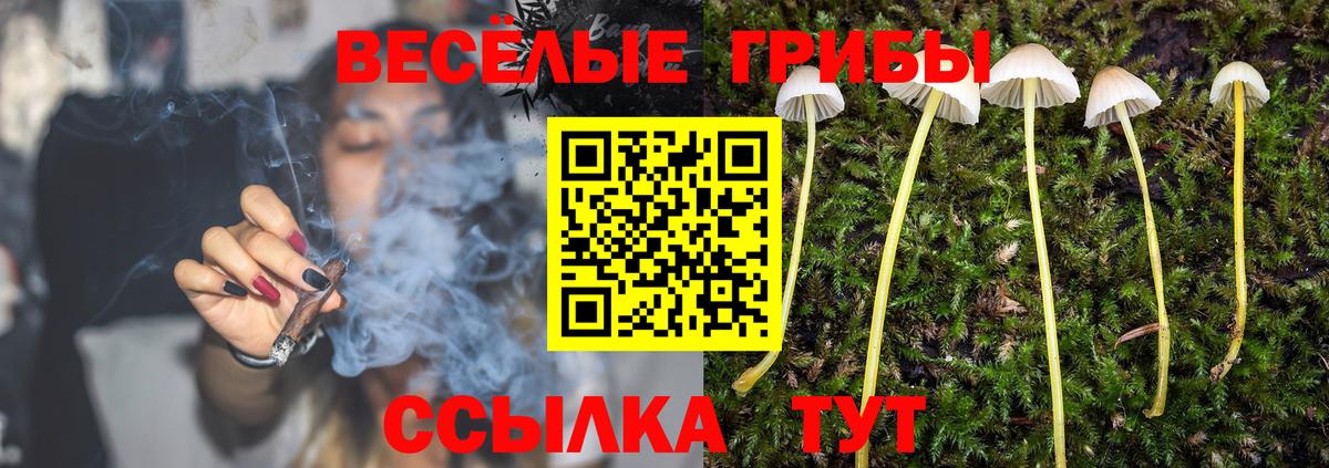 Оренбург  Псилоцибиновые грибы прущие грибы  Вход с VPN 